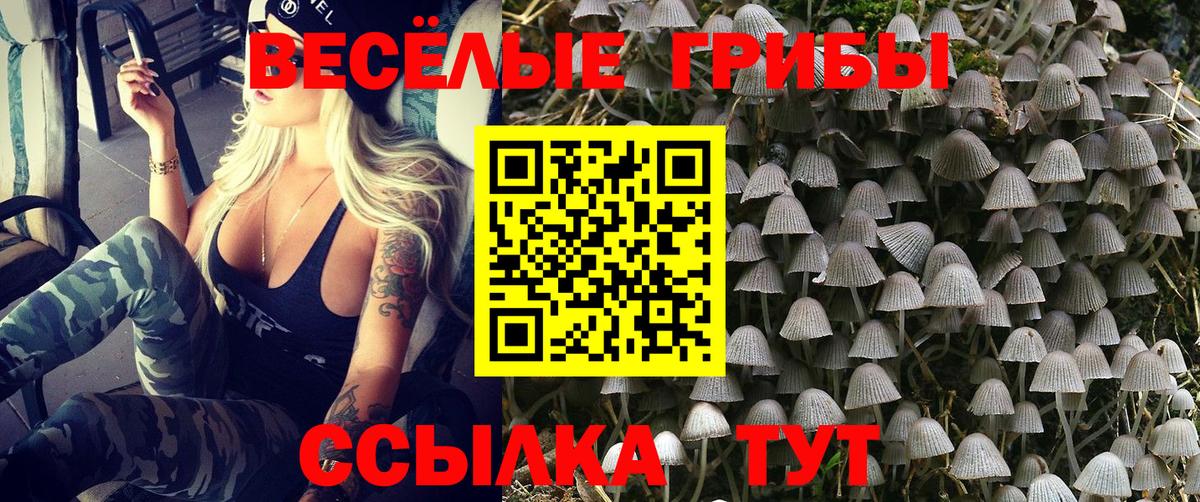Псилоцибиновые грибы прущие грибы  Вход с VPN  Лысьва 
